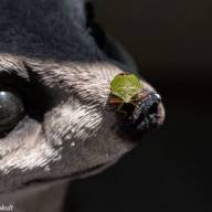 Was machen Fotofreunde in Corona-Zeiten (XXI)